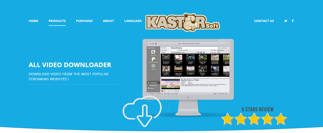 Kastorsoft video downloader