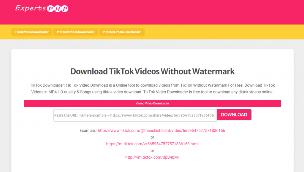 Experts PHP - TikTok Video Downloader