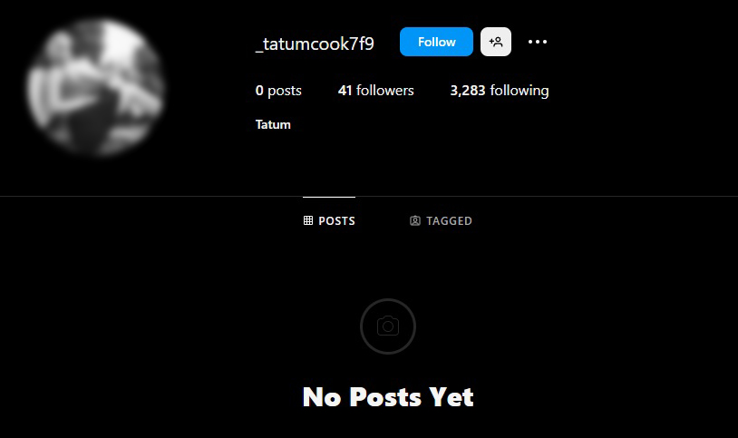 Blank Instagram Profile Except for Profile Picture